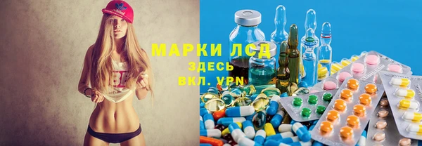 спиды Тавда