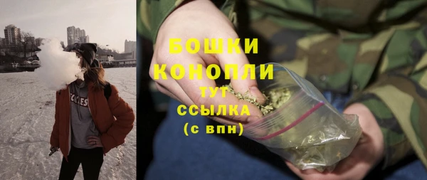 спиды Тавда