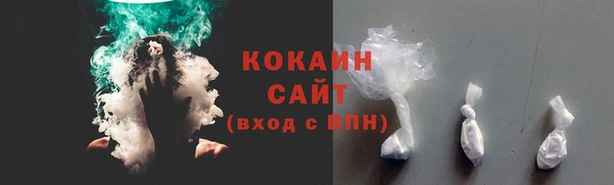 хмурый Белокуриха