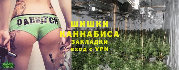 спиды Тавда