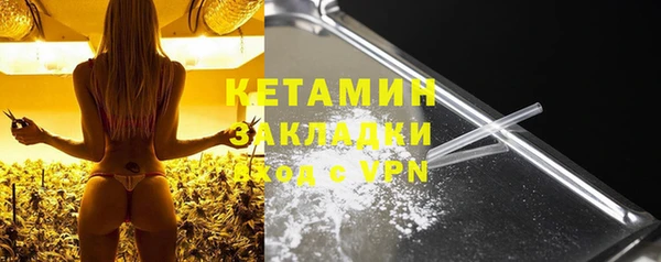крисы Баксан