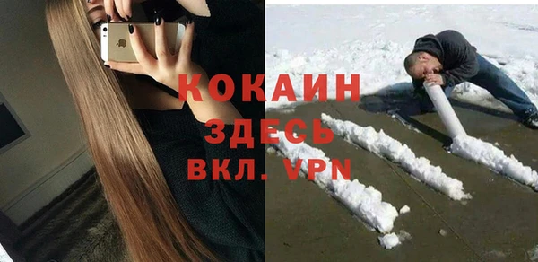 крисы Баксан